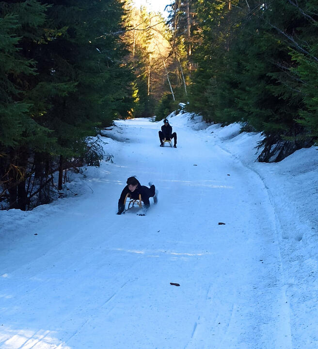 Sáňkařská dráha